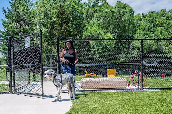 Dog Park at Riverview Park photo 1